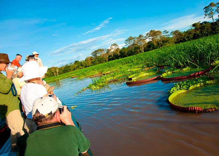 Jungle Travel Packages Iquitos 2 days
